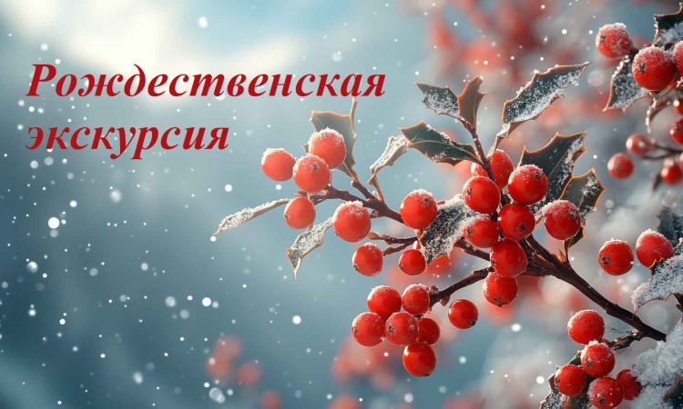 6736f5704f706_43232-(600)